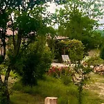 Les Orchidees - Oda ve Kahvaltı 3*