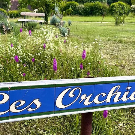 Les Orchidees - 3*