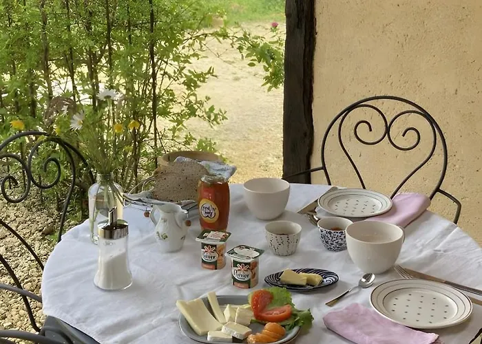 Les Orchidees - Savignac-de-Miremont